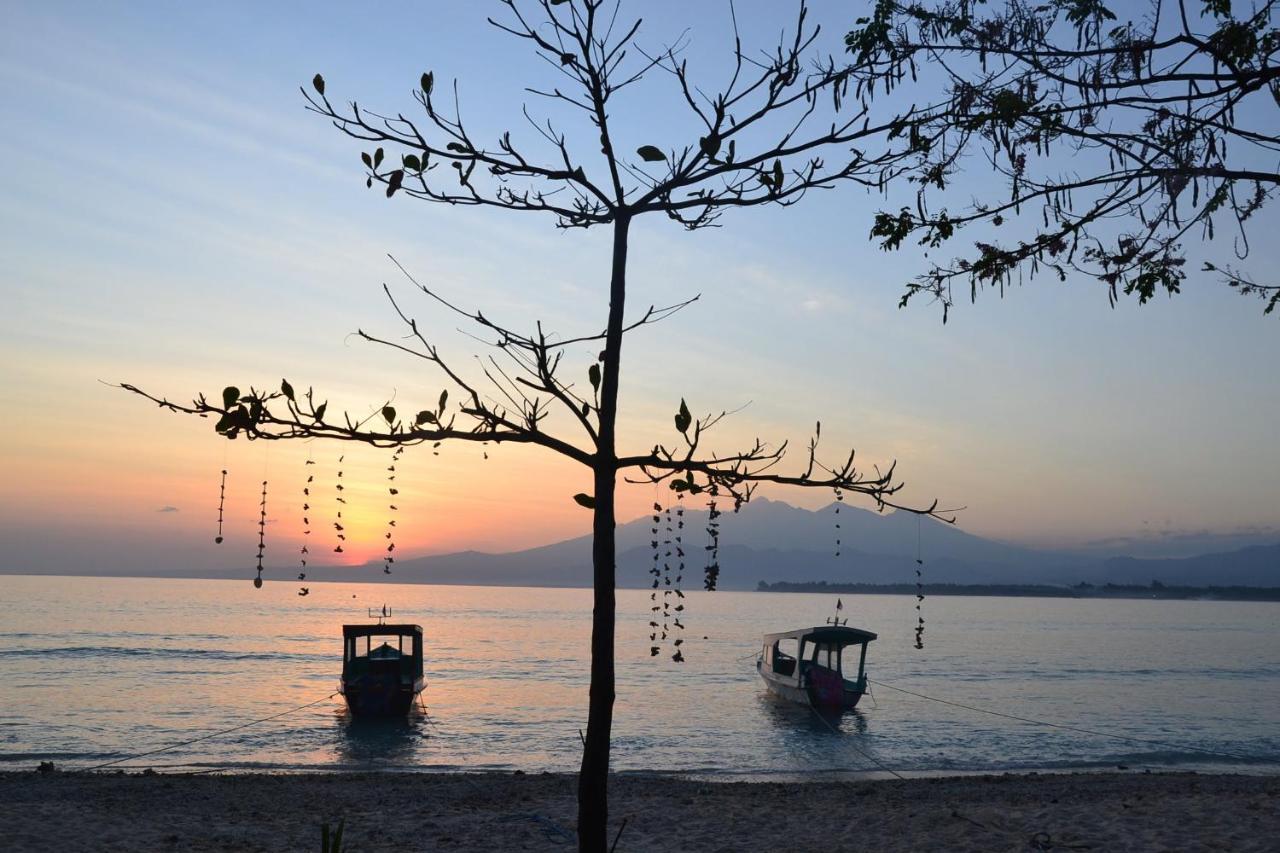 The Rabbit Tree Hostel Gili Meno Εξωτερικό φωτογραφία