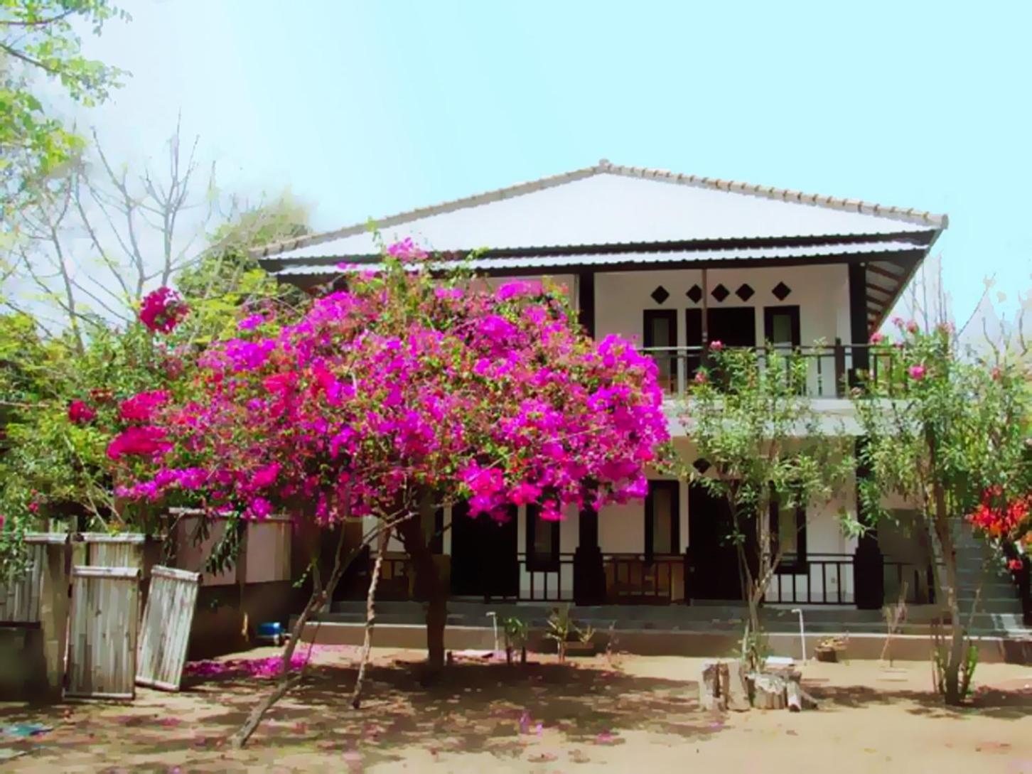 The Rabbit Tree Hostel Gili Meno Εξωτερικό φωτογραφία